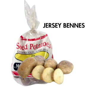 Potato Jersey Bennes 1kg